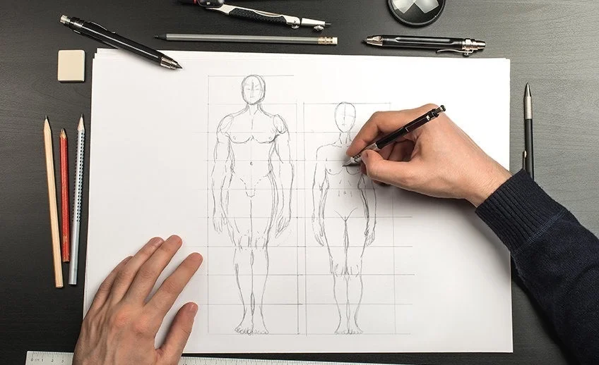 Anatomy drawing course
